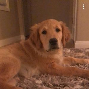 Meet your Posher, Janeth